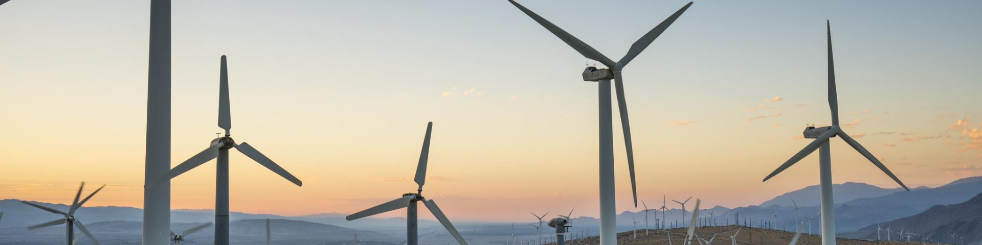 Windmill farm in California